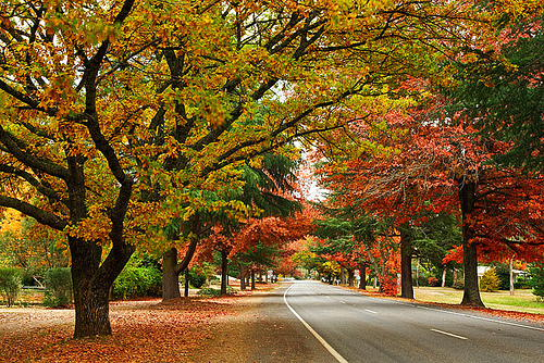 Bright Victoria Australia